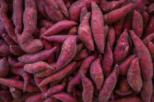 Purple Sweet Potato